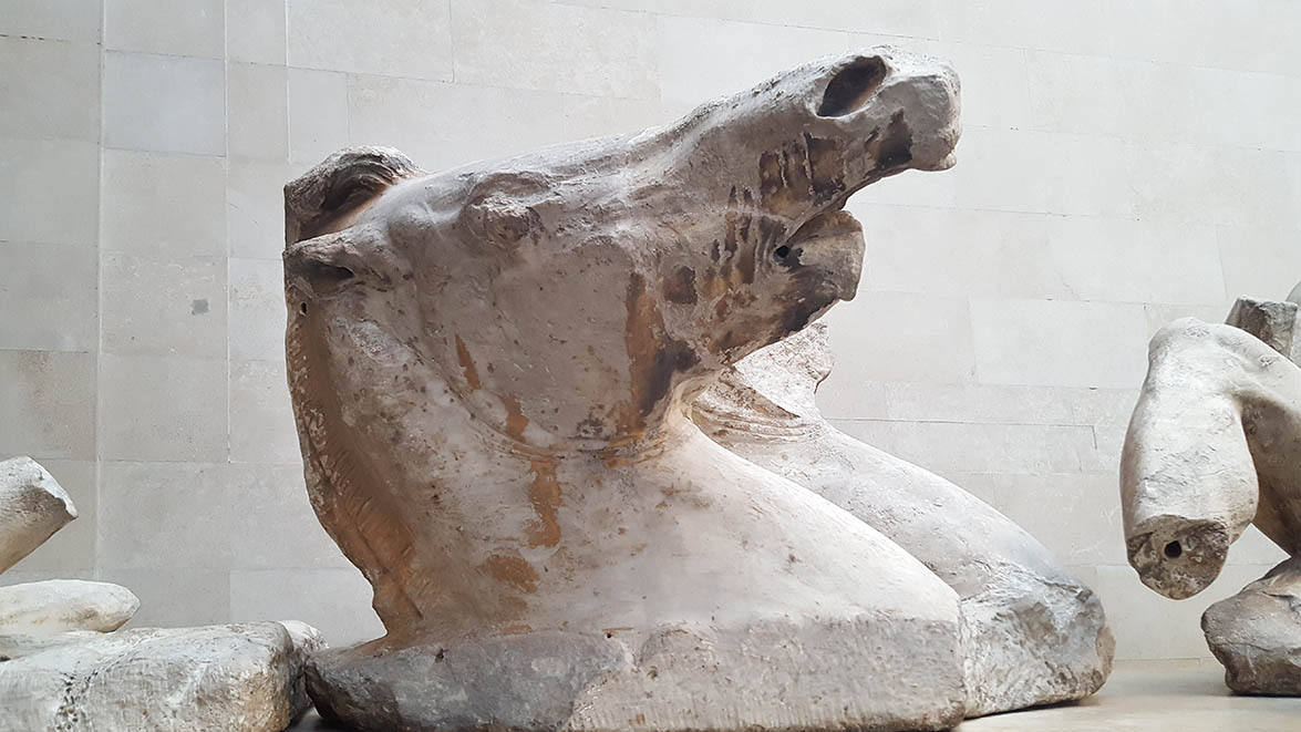 Parthenon Sculptures formally known as the Elgin Marbles displayed in the British Museum - Horses head on plinth